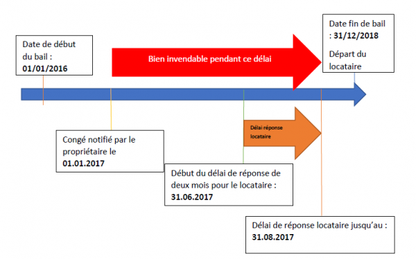 Congé pour vendre Loi n° 89-462 du 6 juillet 1989: Attention aux